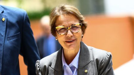 Ministra diz que Brasil pode intensificar produção sem derrubar árvore