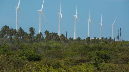 BNDES aprova financiamento de R$ 208 milhões para parque eólico