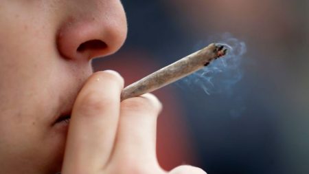 Consequências do uso recreativo da maconha, segundo a medicina chinesa