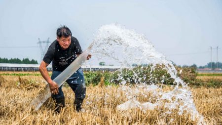 Regime chinês nega escassez de alimentos mas demanda estímulo à agricultura