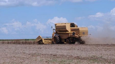 CNA prevê retração no PIB agropecuário em 2024