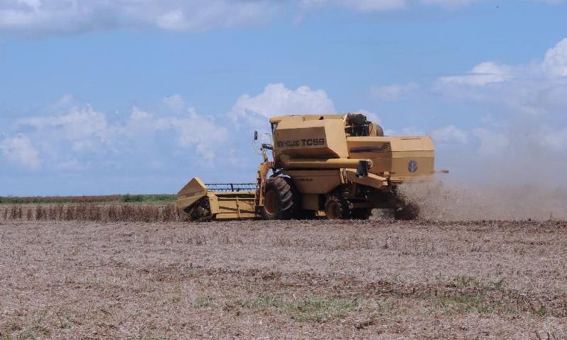 CNA prevê retração no PIB agropecuário em 2024