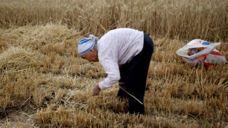 Pequim reprime vídeos de alimentação extrema enquanto país enfrenta escassez de alimentos