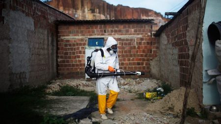 Infecção por zika pode aumentar risco de dengue mais grave