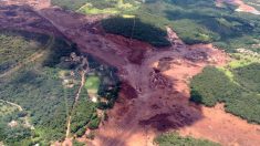 Vale pagará R$ 250 milhões em multa ambiental por Brumadinho