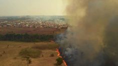 PF cumpre sete mandados contra investigados por incêndios criminosos no MS; prejuízo ultrapassa R$ 220 mi