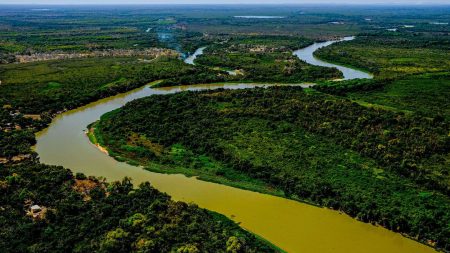 Perícia afirma que incêndio no Pantanal mato-grossense foi intencional