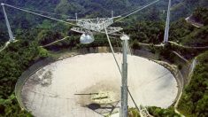 Radiotelescópio de Arecibo em Porto Rico é desmontado devido ao risco de colapso