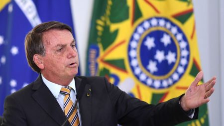 Bolsonaro promete revelar países que importam madeira ilegal da Amazônia