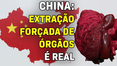 China: Extração forçada de órgãos é real