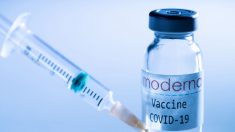 Farmacêutica Moderna indica que vacina que produz tem 94,4% de eficácia