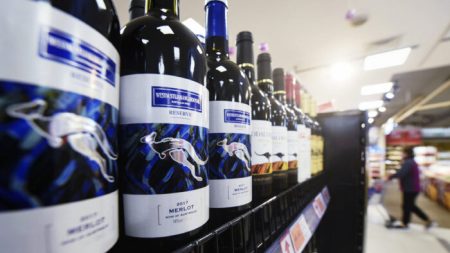 ‘Beba uma garrafa ou duas’: aliança global apoia vinho australiano diante de bullying e tarifas de Pequim