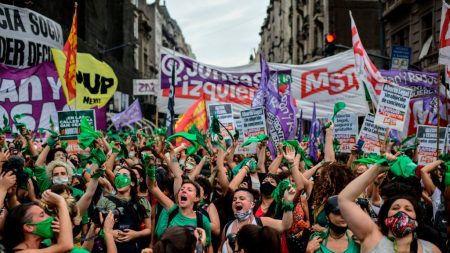 Argentina: Câmara dos Deputados aprova descriminalização do aborto