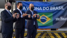 Doria usa bandeira do Brasil para receber a vachina