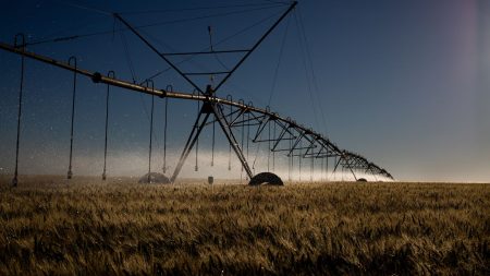 Decreto institui sistema que verifica emissões de carbono no agro