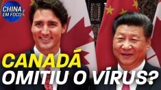 Canadá omitiu o vírus?