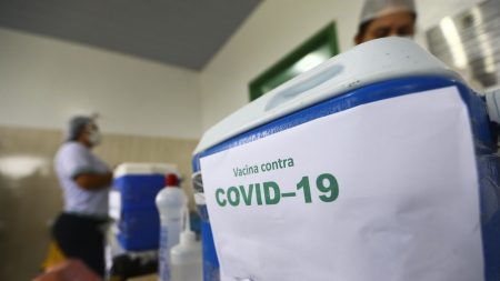 Brasil já aplicou doses suficientes para vacinar toda a população da França