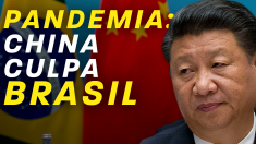 Pandemia: China culpa Brasil