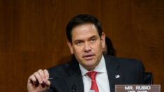 Trump apoia senador da Flórida, Marco Rubio