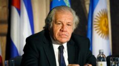El Salvador pode seguir o mesmo caminho de Cuba, Venezuela, Nicarágua e Bolívia, diz OEA