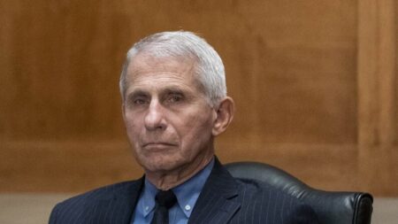 Fauci diz que alguns cientistas chamados em fevereiro de 2020 acreditavam que o COVID-19 foi projetado