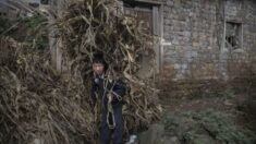 Novo estudo nega o ‘milagre’ de Xi Jinping e revela que existe pobreza extrema na China