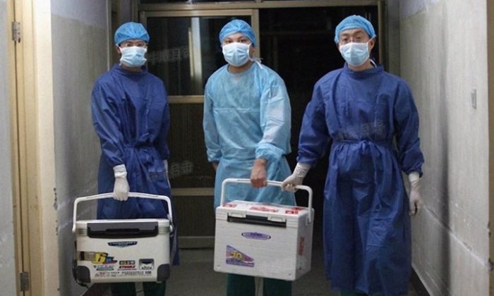 Os médicos carregam órgãos frescos para transplante em um hospital na província de Henan, China, em 16 de agosto de 2012 (Captura de tela via Sohu.com)
