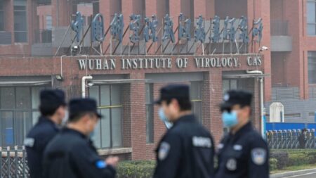 Vídeo de morcegos no laboratório de Wuhan aumenta o detalhamento das investigações