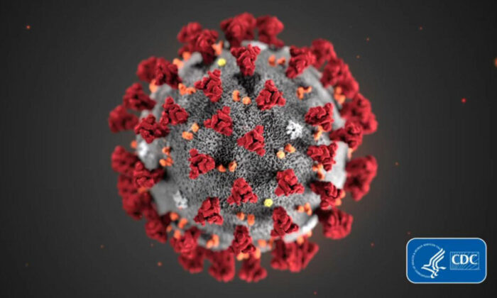 Imagem do coronavírus responsável pela doença COVID-19 fornecida pelos Centros de Controle e Prevenção de Doenças (CDC / TNS)
