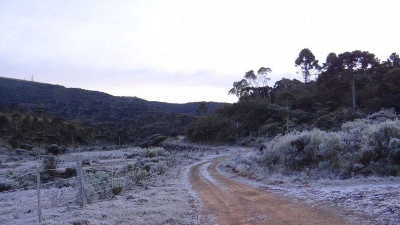 (Defesa Civil de Santa Catarina)