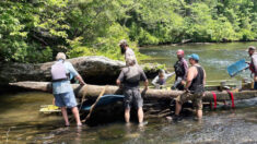 Arqueólogos encontram canoas nativas americanas esculpidas em 1700 em rio da Carolina do Sul