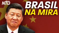 Oficiais da China e do nordeste brasileiro se reuniram neste mês para discutir o aprofundamento de laços entre os países