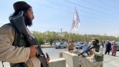Talibã anuncia anistia e diz que mulheres podem trabalhar e ir à universidade