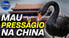 Um cisne negro apareceu na Praça Tiananmen, no centro de Pequim