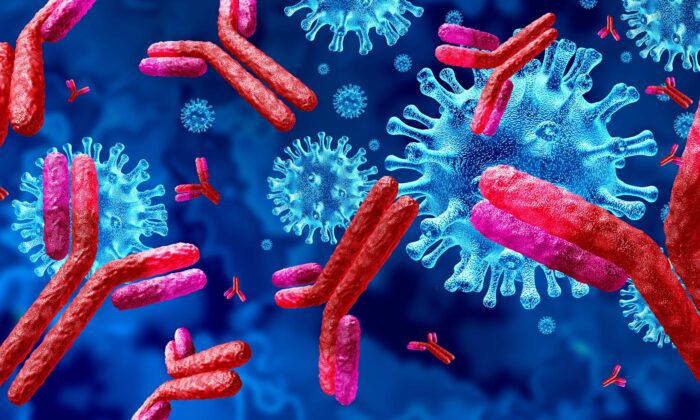 Um novo estudo levanta preocupações sobre os anticorpos desencadeados pelo COVID-19 e pelas vacinas (Lightspring / Shutterstock)
