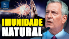 Novo estudo: 96% de imunidade natural continua mais de 12 meses após infecção por Covid