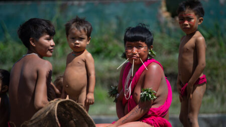 Yanomami : governo confirma 74 mortes em 2024 