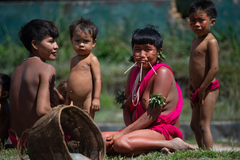 Yanomami : governo confirma 74 mortes em 2024 