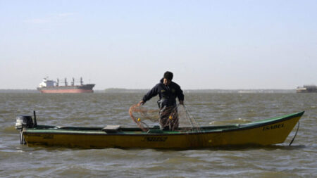 Barcos subsidiados pela China perto da América do Sul levantam preocupações sobre pesca ilegal