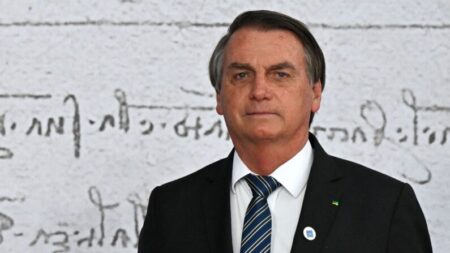 Presidente Jair Bolsonaro recebe missão da OEA que observará eleições