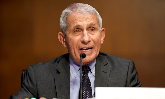 Dr. Anthony Fauci, diretor do Instituto Nacional de Alergia e Doenças Infecciosas, em uma audiência no Senado em Washington, em 11 de maio de 2021 (Greg Nash / Pool / Getty Images)