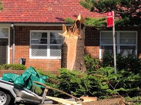 Casas ainda sem energia após tempestade semelhante a um tornado em Sydney