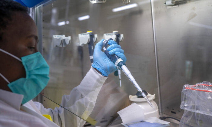 FILE — Puseletso Lesofi prepares to sequence COVID-19 omicron samples at the Ndlovu Research Center in Elandsdoorn, South Africa, Dec. 8, 2021. Health experts still don't know if omicron is causing milder COVID-19 but some more hints are emerging with doctors in South Africa saying their patients aren't getting as sick with omicron, compared to the delta variant. (AP Photo/Jerome Delay, File)