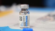 Trabalhadores farmacêuticos demitidos explicam por que não receberam a vacina da COVID-19