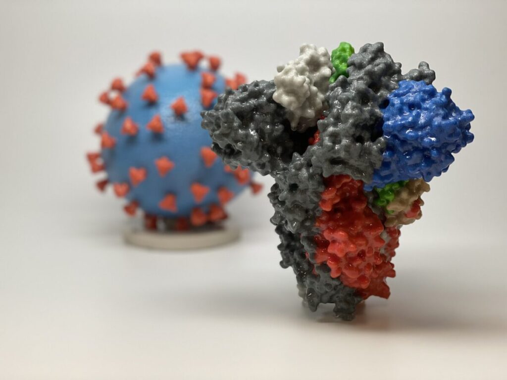 Uma impressão 3D de uma proteína espicular do SARS-CoV-2 – o vírus que causa a COVID-19 – na frente de uma impressão 3D de uma partícula do vírus SARS-CoV-2 (Cortesia do NIAID/RML)