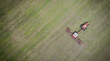 Agricultores pagam o triplo por fertilizantes: não somos culpados pelos preços altos nos alimentos