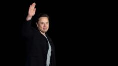 Elon Musk diz que Europa deve reiniciar usinas nucleares inativas