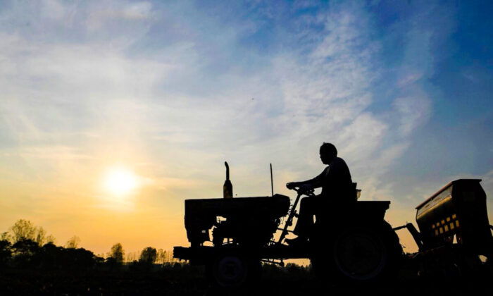 Um agricultor semeando trigo de inverno com uma broca de grãos em Bozhou, na província de Anhui, leste da China, em 15 de outubro de 2019 (STR/AFP via Getty Images)