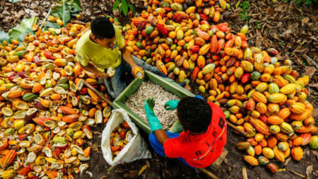 Pernambuco investe R$ 3,4 milhões em agricultura familiar sustentável