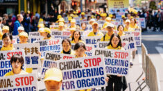 Extração forçada de órgãos de praticantes do Falun Gong deve ser foco nas negociações de direitos humanos com China